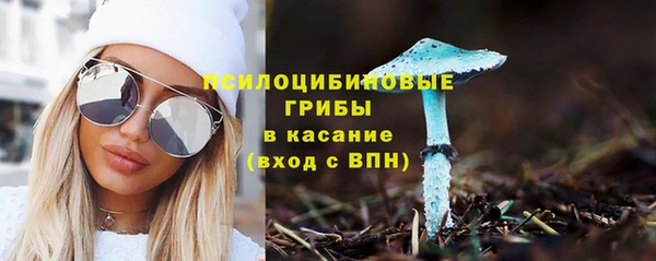 стафф Нефтегорск