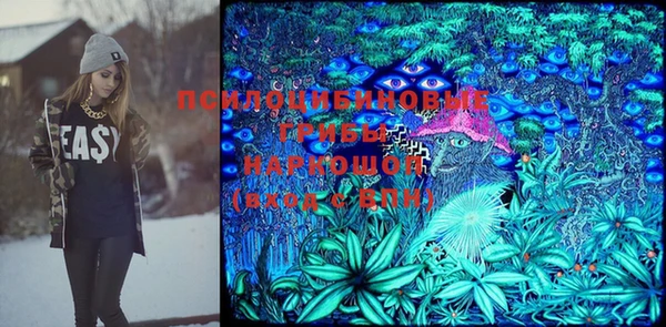 стафф Нефтегорск