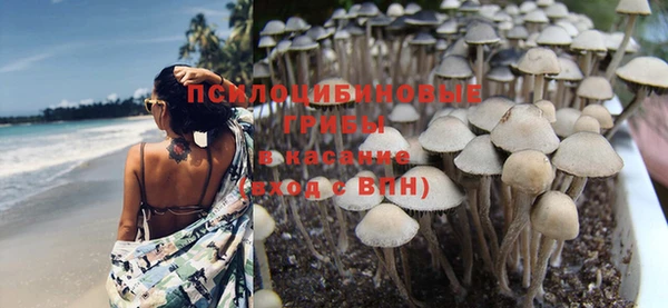 мдма Нефтекумск